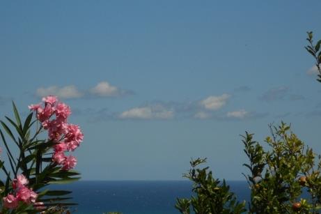 About Us page component.