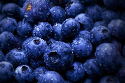 About Us page component.