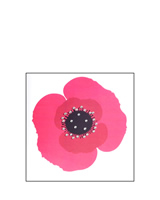 Pink Poppy card by english_graphics