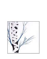Silver Birch Card by english_graphics