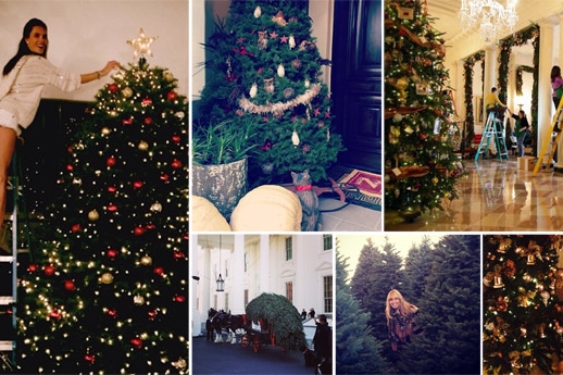 About Us page component.